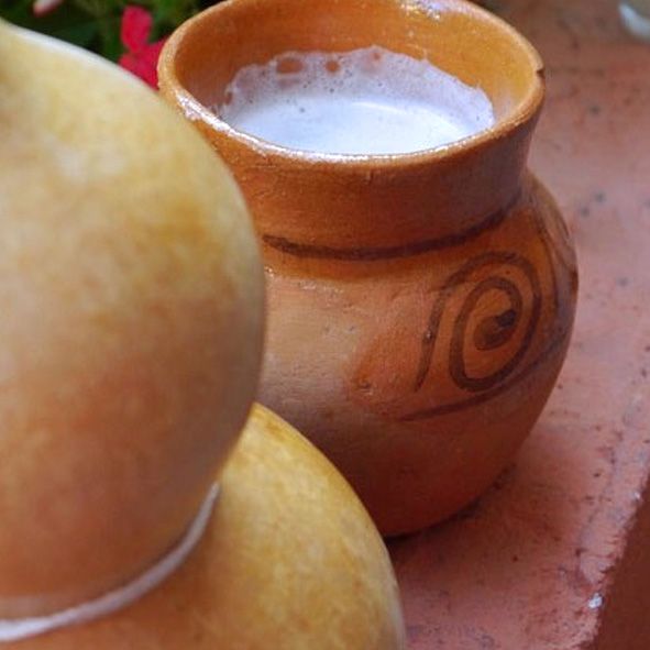 Saborear un pulque – HIDALGO, GASTRONOMÍA